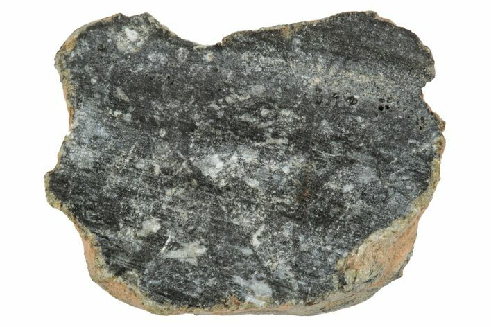 Polished Lunar Meteorite ( g) End Cut Slice - NWA #333153
